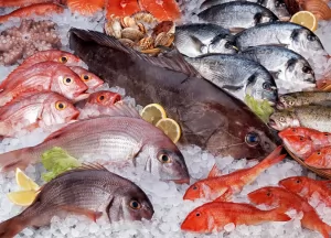 Pembekuan ikan adalah metode penting dalam industri makanan untuk mempertahankan kualitas ikan dan memperpanjang umur simpannya. Ada beberapa teknologi pembekuan ikan yang umum digunakan:  Pembekuan Udara (Air Freezing): Ikan ditempatkan dalam freezer di s